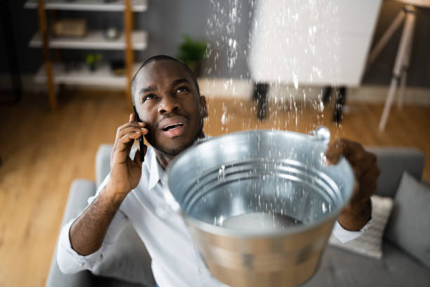 Best Sewage cleanup and water damage restoration  in Jarrettsville, MD