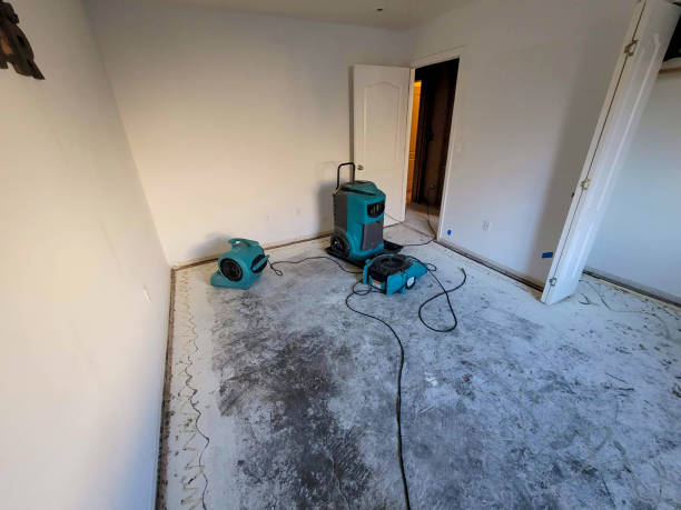 Best Residential water damage restoration  in Jarrettsville, MD