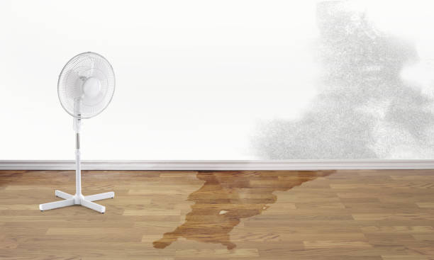 Fire Damage Restoration in MD