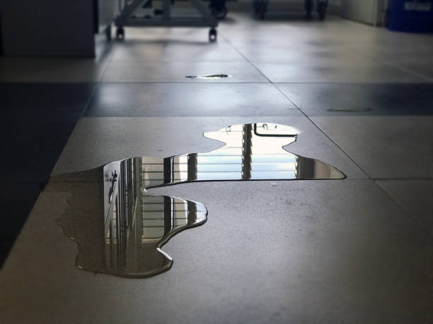 Best Commercial water damage restoration  in Jarrettsville, MD