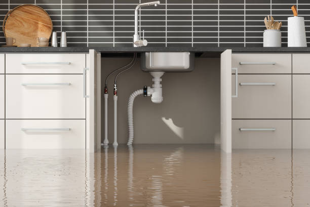 Best Fire Damage Restoration  in Jarrettsville, MD