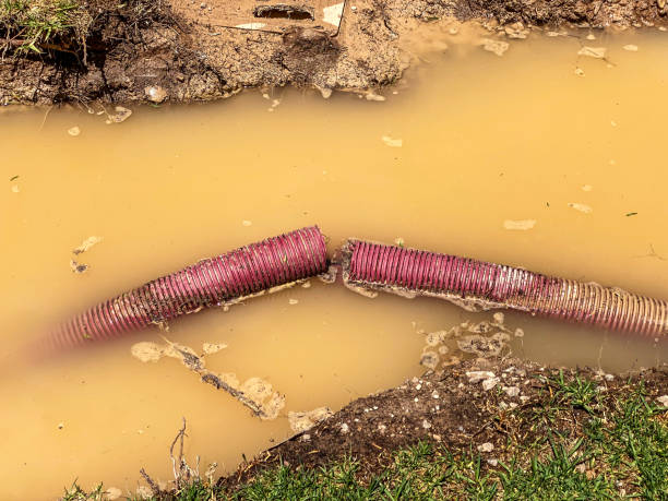 Best Emergency water damage restoration  in Jarrettsville, MD