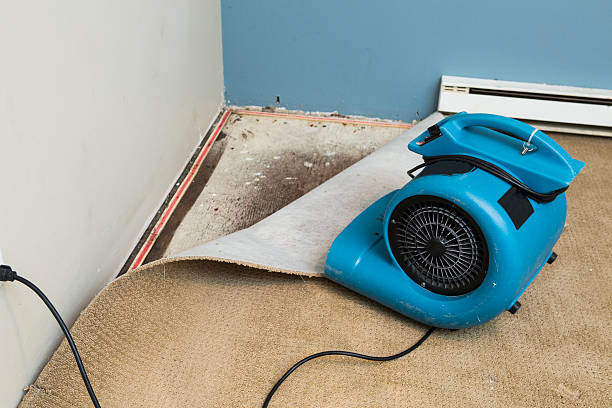 Best Sewage cleanup and water damage restoration  in Jarrettsville, MD